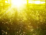     
: Nature_Other_Solar_morning_027996_.jpg
: 7
:	266.0 
ID:	4160026