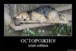     
: 170a14b0edeb.jpg
: 21
:	51.7 
ID:	4160188