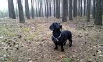     
: макс.jpg
: 44
:	231.2 
ID:	4160358