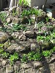     
: IMG_0885.jpg
: 20
:	134.0 
ID:	4161546