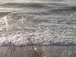     
: DSC00217.jpg
: 40
:	183.0 
ID:	4162900