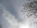     
: DSC02455.jpg
: 22
:	96.6 
ID:	4163300