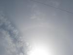     
: DSC02449.jpg
: 24
:	34.3 
ID:	4163301