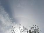     
: DSC02454.jpg
: 30
:	64.5 
ID:	4163319