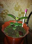     
: IMG_0397.jpg
: 37
:	99.7 
ID:	4163644