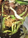     
: IMG_3167.jpg
: 44
:	87.1 
ID:	4164688