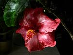     
: brenda miller 1st_1.JPG
: 16
:	278.9 
ID:	4164959