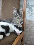     
: IMG_0204.jpg
: 31
:	46.9 
ID:	416530