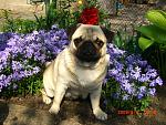     
: 5514d19d9d20.jpg
: 75
:	109.3 
ID:	416546