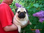     
: ba4fa79b6bd8.jpg
: 46
:	75.3 
ID:	416556