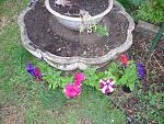     
: DSC07053.JPG
: 23
:	225.8 
ID:	4165870
