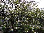     
: DSC07060.JPG
: 13
:	237.1 
ID:	4165874