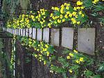     
: DSC07059.JPG
: 26
:	217.7 
ID:	4165878