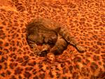     
: DSCN1394.jpg
: 87
:	181.3 
ID:	4166261