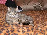     
: DSCN1397.jpg
: 49
:	199.8 
ID:	4166263
