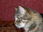     
: DSCN1402.jpg
: 41
:	176.2 
ID:	4166265