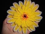     
: DSC02504.jpg
: 18
:	193.5 
ID:	4168202