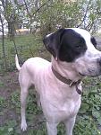     
: Фото010.jpg
: 103
:	132.3 
ID:	4170119