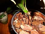     
: DSC02441.jpg
: 30
:	189.6 
ID:	4171397