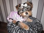     
: IMG_0375.jpg
: 37
:	167.4 
ID:	4171590