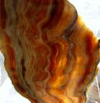     
: m-Cc_14Tu_1734_onyx.jpg
: 12
:	65.1 
ID:	4171924