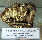     
: m-arag_5Bo-1.JPG
: 17
:	121.8 
ID:	4171927