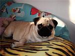     
: c78195459da8.jpg
: 73
:	55.7 
ID:	417337
