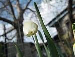     
: IMG_0926.jpg
: 5
:	45.5 
ID:	4176212