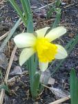     
: 220420121246.jpg
: 8
:	96.1 
ID:	4178423