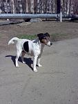     
: Фото063.jpg
: 19
:	118.1 
ID:	4182564