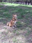     
: Фото073.jpg
: 163
:	202.8 
ID:	4182612