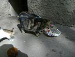     
: 240420121903.jpg
: 35
:	191.8 
ID:	4186052