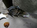    
: 240420121904.jpg
: 30
:	182.4 
ID:	4186056
