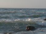     
: DSC00227.jpg
: 47
:	73.8 
ID:	4187149