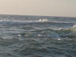     
: DSC00226.jpg
: 39
:	69.6 
ID:	4187152