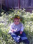     
: IMG_20120425_144541.jpg
: 61
:	169.3 
ID:	4189162