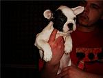     
: 27b1c74c02bd.jpg
: 17
:	37.5 
ID:	419520