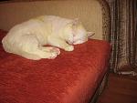     
: IMG_1017.jpg
: 47
:	119.5 
ID:	4196148