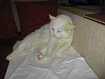     
: IMG_1019.jpg
: 46
:	84.3 
ID:	4196155