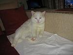     
: IMG_1018.jpg
: 42
:	86.6 
ID:	4196172