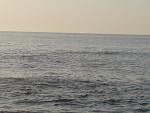     
: DSC00232.jpg
: 26
:	86.5 
ID:	4197198