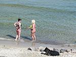     
: IMG_2420_п.jpg
: 338
:	156.6 
ID:	4198754