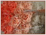     
: DSC06376_1.jpg
: 30
:	160.8 
ID:	4200152