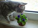     
: DSC02527.jpg
: 16
:	114.2 
ID:	4203373
