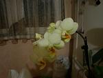    
: DSC02202.jpg
: 24
:	85.0 
ID:	4203380