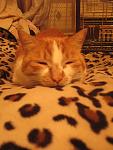    
: IMG_7399.jpg
: 16
:	85.2 
ID:	4203428