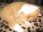     
: IMG_7166.jpg
: 17
:	113.8 
ID:	4203429