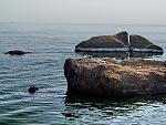     
: IMG_2434_1.jpg
: 60
:	167.5 
ID:	4205762