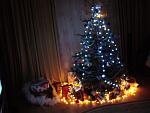     
: DSC09475.jpg
: 257
:	74.4 
ID:	420917