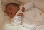    
: IMG_0451.JPG
: 177
:	33.1 
ID:	4211562